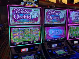 selamatjudi slot Dream Gaming deposit and account login walkthrough selamatjudi slot Dream Gaming deposit and account login walkthrough