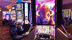 selamatjudi slot World Cup betting walkthrough selamatjudi slot World Cup betting walkthrough